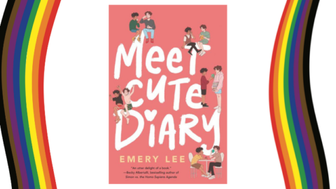 meet cute diary book